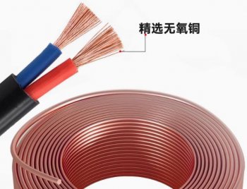 广东新荔湾电线